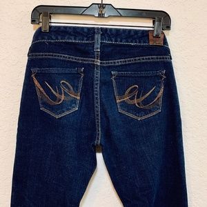 Express Dark Wash Blue Flare Jeans